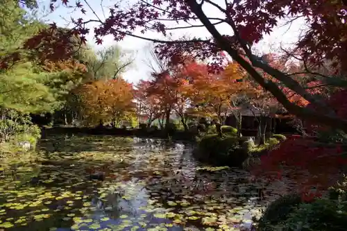 大原野神社の庭園