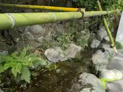 白笹稲荷神社の手水