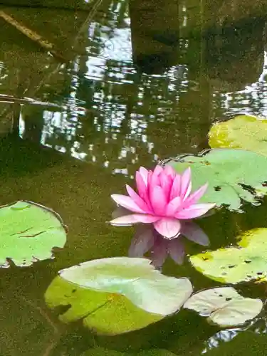 東福禅寺（東福寺）(京都府)