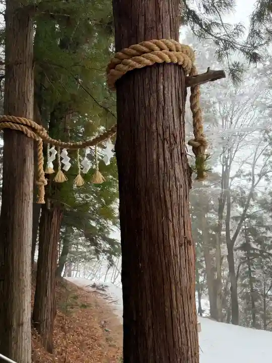 足長神社の{uncategorized: "未分類", other: "その他", undefined: "問題あり", building: "その他建物", grave: "お墓", sacred_gate: "鳥居", guardian: "狛犬", statue: "像", buddha: "仏像", history: "歴史", nature: "自然", garden: "庭園", animal: "動物", pagoda: "塔", temizu: "手水舎", mountain_gate: "山門・神門", sanctuary: "本殿・本堂", subordinate: "末社・摂社", art: "芸術", scenery: "景色", jizo: "地蔵", ema: "絵馬", goshuin: "御朱印", omikuji: "おみくじ", items: "授与品その他", amulet: "お守り", goshuincho: "御朱印帳", eats: "食事", festival: "お祭り", votive_dance: "神楽", shichigosan: "七五三参", wedding: "結婚式", experience: "体験その他", initially: "初詣", around: "周辺", anti_infection: "感染症対策"}