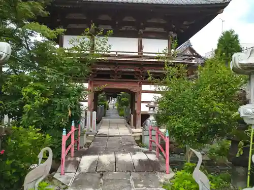 観音寺の山門