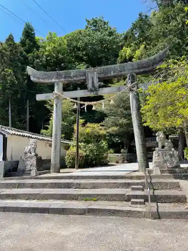 白山比咩神社の鳥居