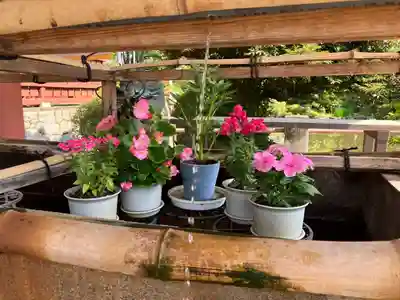 津島神社の手水舎