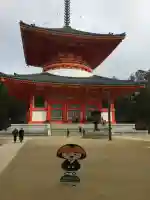 壇上伽藍(和歌山県)