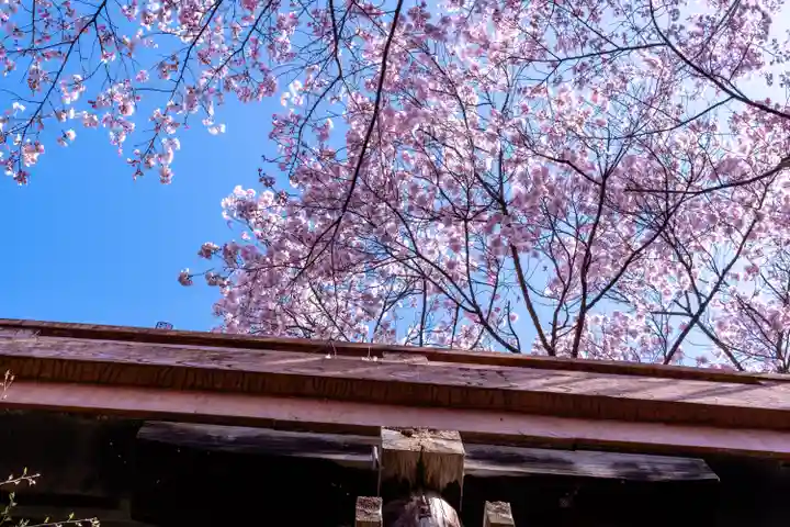新城藤原神社(長野県)