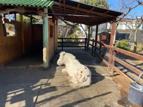 五方山熊野神社の{uncategorized: "未分類", other: "その他", undefined: "問題あり", building: "その他建物", grave: "お墓", sacred_gate: "鳥居", guardian: "狛犬", statue: "像", buddha: "仏像", history: "歴史", nature: "自然", garden: "庭園", animal: "動物", pagoda: "塔", temizu: "手水舎", mountain_gate: "山門・神門", sanctuary: "本殿・本堂", subordinate: "末社・摂社", art: "芸術", scenery: "景色", jizo: "地蔵", ema: "絵馬", goshuin: "御朱印", omikuji: "おみくじ", items: "授与品その他", amulet: "お守り", goshuincho: "御朱印帳", eats: "食事", festival: "お祭り", votive_dance: "神楽", shichigosan: "七五三参", wedding: "結婚式", experience: "体験その他", initially: "初詣", around: "周辺", anti_infection: "感染症対策"}