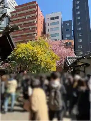 蔵前神社の{uncategorized: "未分類", other: "その他", undefined: "問題あり", building: "その他建物", grave: "お墓", sacred_gate: "鳥居", guardian: "狛犬", statue: "像", buddha: "仏像", history: "歴史", nature: "自然", garden: "庭園", animal: "動物", pagoda: "塔", temizu: "手水舎", mountain_gate: "山門・神門", sanctuary: "本殿・本堂", subordinate: "末社・摂社", art: "芸術", scenery: "景色", jizo: "地蔵", ema: "絵馬", goshuin: "御朱印", omikuji: "おみくじ", items: "授与品その他", amulet: "お守り", goshuincho: "御朱印帳", eats: "食事", festival: "お祭り", votive_dance: "神楽", shichigosan: "七五三参", wedding: "結婚式", experience: "体験その他", initially: "初詣", around: "周辺", anti_infection: "感染症対策"}