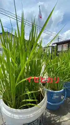 大鏑神社(福島県)