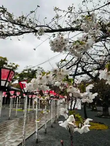 三嶋大社の{uncategorized: "未分類", other: "その他", undefined: "問題あり", building: "その他建物", grave: "お墓", sacred_gate: "鳥居", guardian: "狛犬", statue: "像", buddha: "仏像", history: "歴史", nature: "自然", garden: "庭園", animal: "動物", pagoda: "塔", temizu: "手水舎", mountain_gate: "山門・神門", sanctuary: "本殿・本堂", subordinate: "末社・摂社", art: "芸術", scenery: "景色", jizo: "地蔵", ema: "絵馬", goshuin: "御朱印", omikuji: "おみくじ", items: "授与品その他", amulet: "お守り", goshuincho: "御朱印帳", eats: "食事", festival: "お祭り", votive_dance: "神楽", shichigosan: "七五三参", wedding: "結婚式", experience: "体験その他", initially: "初詣", around: "周辺", anti_infection: "感染症対策"}