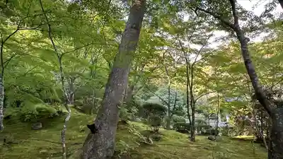 円通院(宮城県)