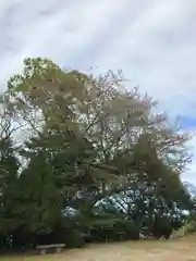 河内阿蘇神社の自然