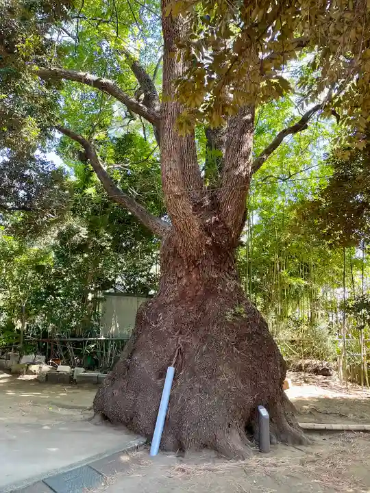 玉川神社(東京都)