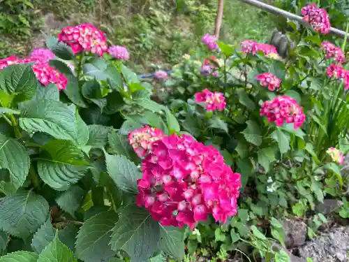 石清水八幡宮(京都府)