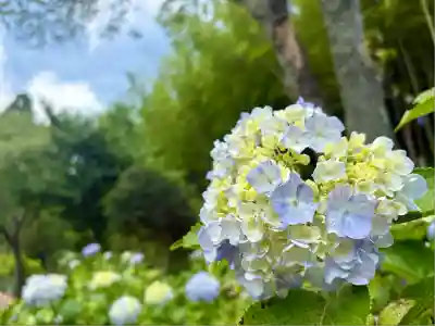 極楽寺(静岡県)