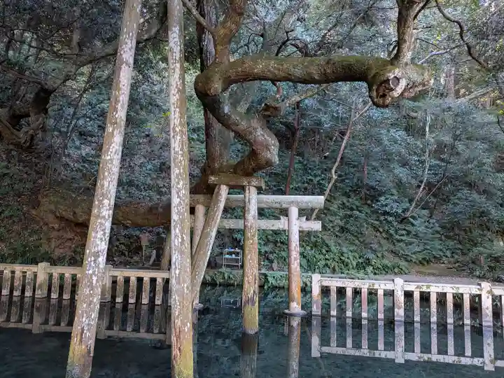 鹿島神宮(茨城県)