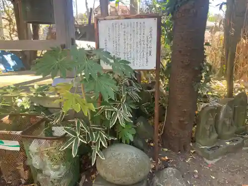 光明寺(神奈川県)