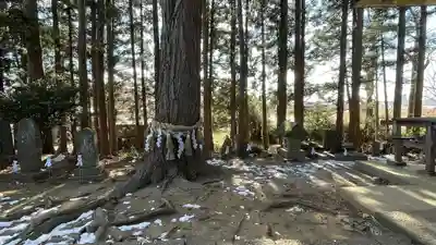 加賀野八幡神社(宮城県)