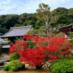 本興寺(静岡県)