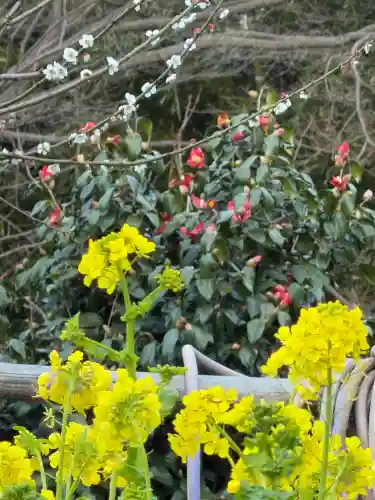 石清水八幡宮の{uncategorized: "未分類", other: "その他", undefined: "問題あり", building: "その他建物", grave: "お墓", sacred_gate: "鳥居", guardian: "狛犬", statue: "像", buddha: "仏像", history: "歴史", nature: "自然", garden: "庭園", animal: "動物", pagoda: "塔", temizu: "手水舎", mountain_gate: "山門・神門", sanctuary: "本殿・本堂", subordinate: "末社・摂社", art: "芸術", scenery: "景色", jizo: "地蔵", ema: "絵馬", goshuin: "御朱印", omikuji: "おみくじ", items: "授与品その他", amulet: "お守り", goshuincho: "御朱印帳", eats: "食事", festival: "お祭り", votive_dance: "神楽", shichigosan: "七五三参", wedding: "結婚式", experience: "体験その他", initially: "初詣", around: "周辺", anti_infection: "感染症対策"}