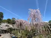 法金剛院(京都府)