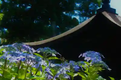 国宝 大法寺の自然