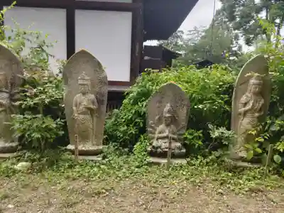 般若寺 ❁﻿コスモス寺❁(奈良県)