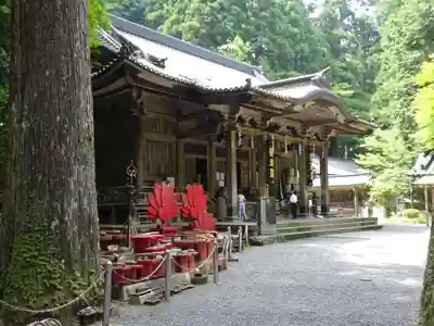 最乗寺（道了尊）の末社・摂社