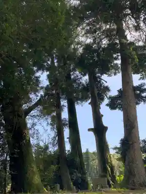 香取神社の自然