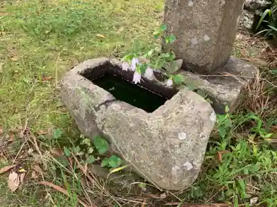 寺院（名称不明）の手水舎