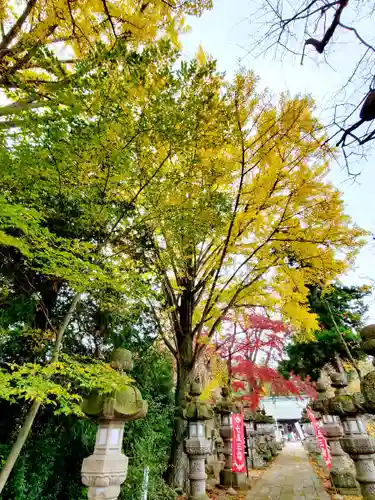 神炊館神社 ⁂奥州須賀川総鎮守⁂の自然