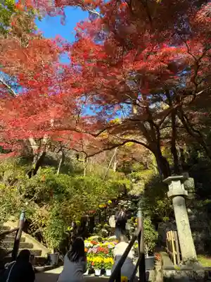 長谷寺(奈良県)