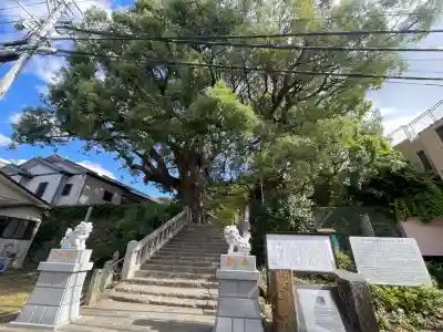 山王神社(長崎県)