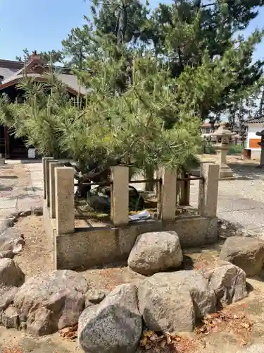 高石神社の庭園