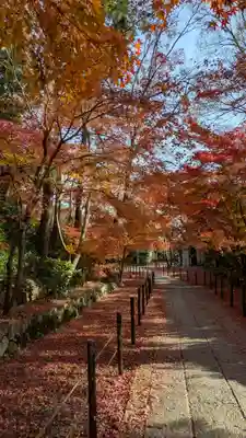 光明寺（粟生光明寺）(京都府)