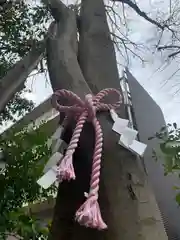 伊和志津神社の自然