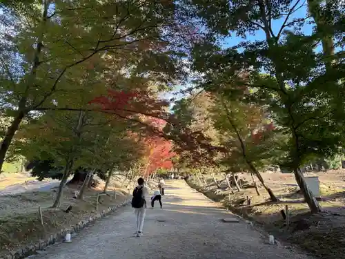醍醐寺(京都府)