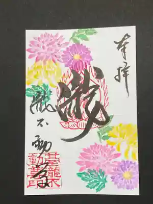 秋季限定、菊の御朱印です。