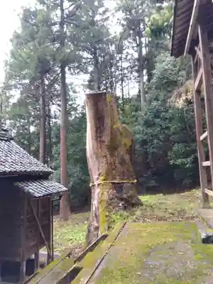 水間神社(福井県)