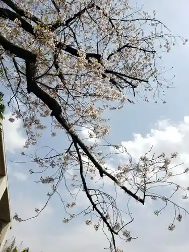 麻布氷川神社(東京都)