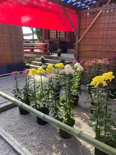 笠間稲荷神社(茨城県)