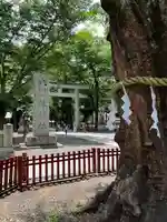 大國魂神社(東京都)
