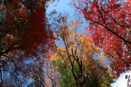 愛宕神社の景色