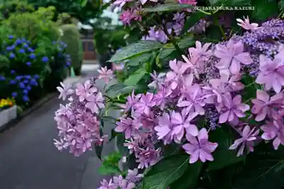 宝祥寺(東京都)