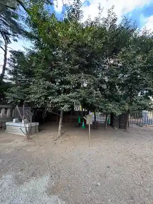 埼玉縣護國神社(埼玉県)