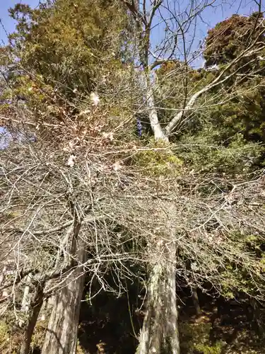 鹿島大神宮(福島県)