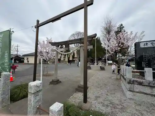 浅沼八幡宮(栃木県)