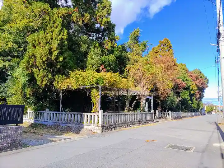 神明社(祖父江神明社)の自然