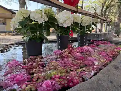 美奈宜神社(福岡県)