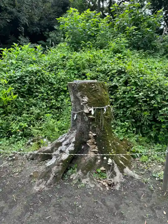 洲崎神社(千葉県)