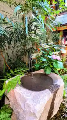 五十稲荷神社(栄寿稲荷神社)の手水舎